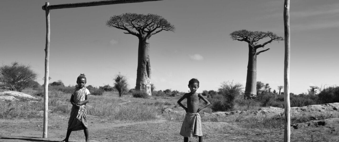 Into Africa, 93