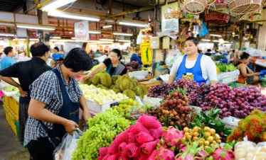 Tour 11 - Pure Central Thailand