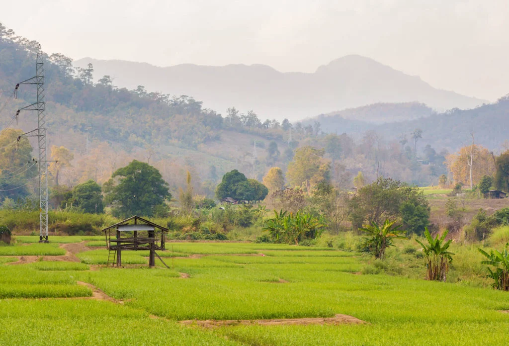 Tour 12 - North Thailand Explorer