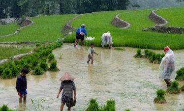 Tour 33 - Indochina Highlights