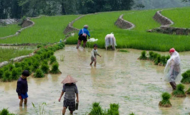 Tour 33 - Indochina Highlights