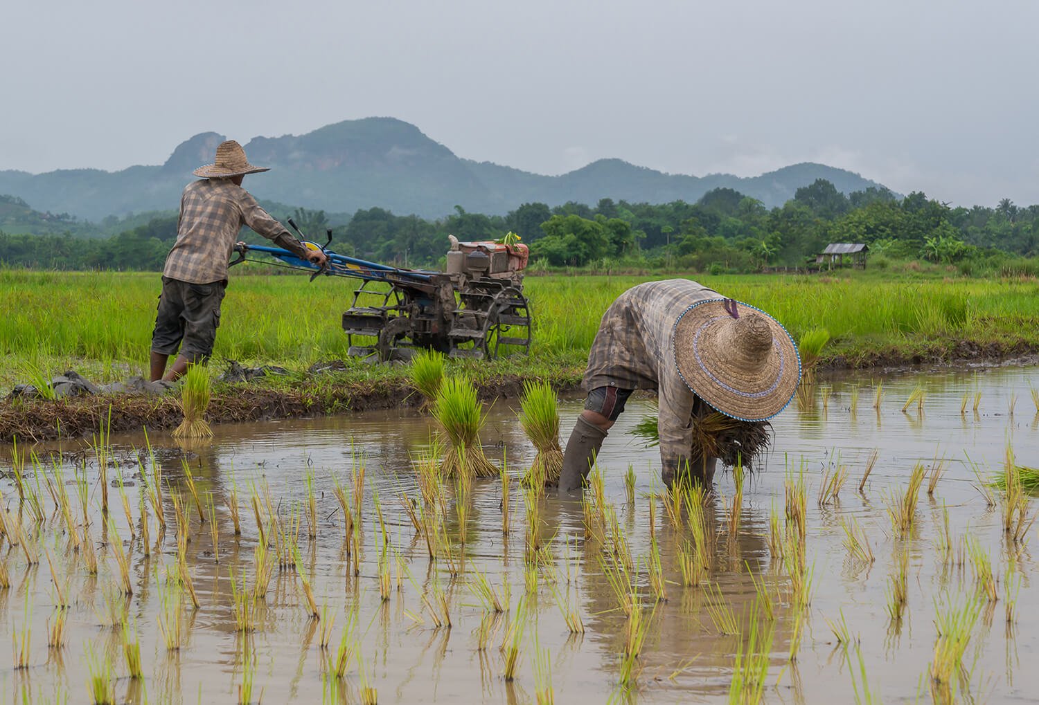 Experience Laos: Soft Adventure Small Group Tour Package - Tour 21