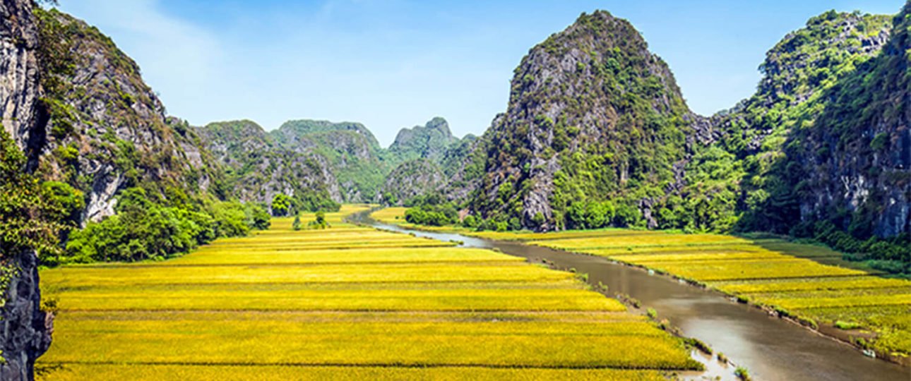 rice-field-and-river-in-tamcoc-ninhbinh-vietnam-indochina-58213081