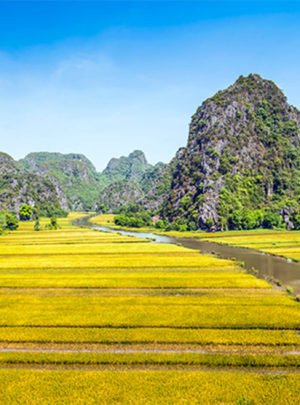 rice-field-and-river-in-tamcoc-ninhbinh-vietnam-indochina-58213081