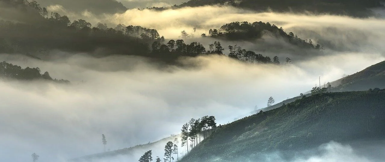 The best time of the year to visit Vietnam